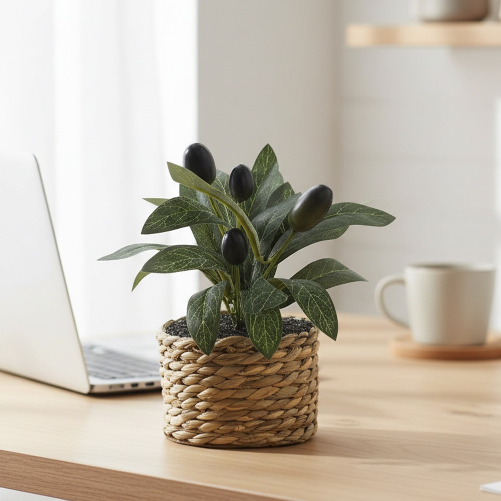 Office Furniture Used - Kunstplanten Zakolijfbomen Kunststof nepplanten Bonsai Thuis