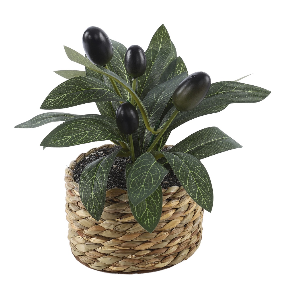 Kunstplanten Zakolijfbomen Kun - Office Furniture Used recensie en prijs